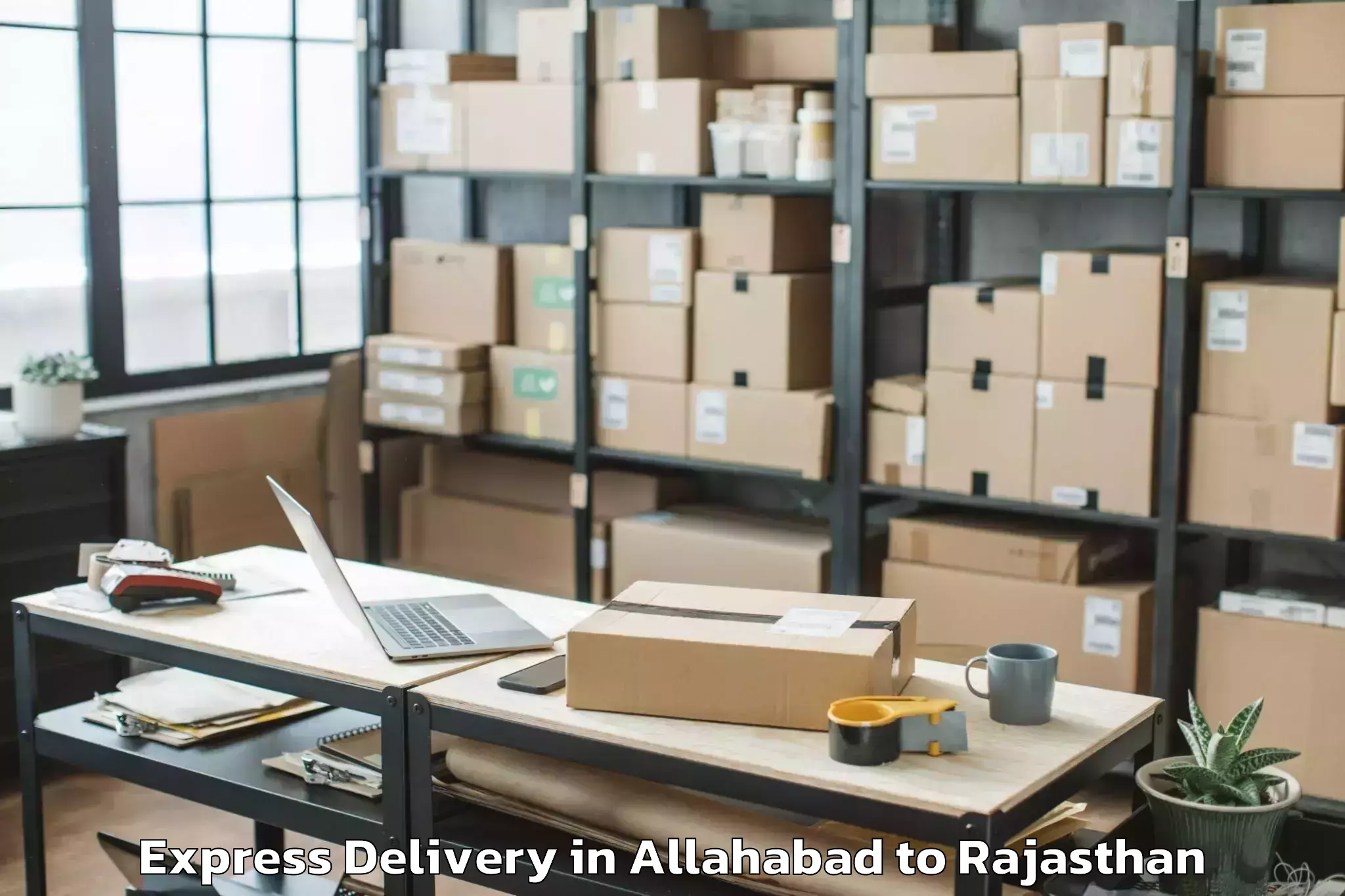 Professional Allahabad to Nims University Jaipur Express Delivery